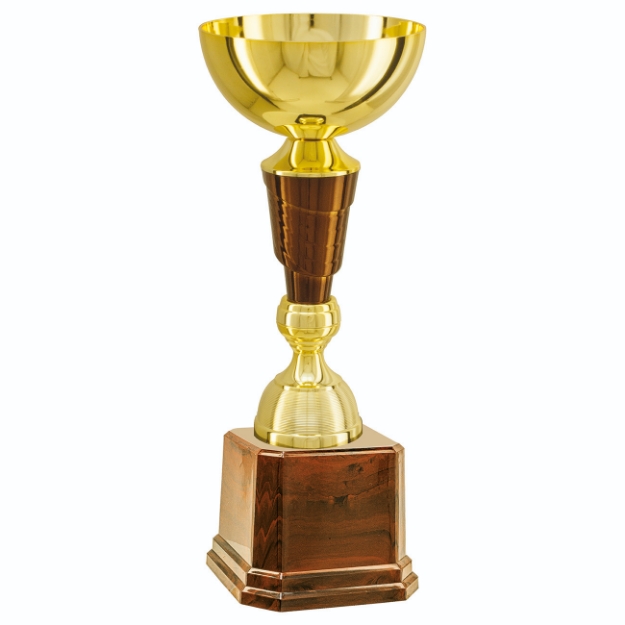 Imagem de TROFÉU MÉDIO COPA ABERTA EM POLÍMERO METALIZADO - 39 CM - 402807-CAS