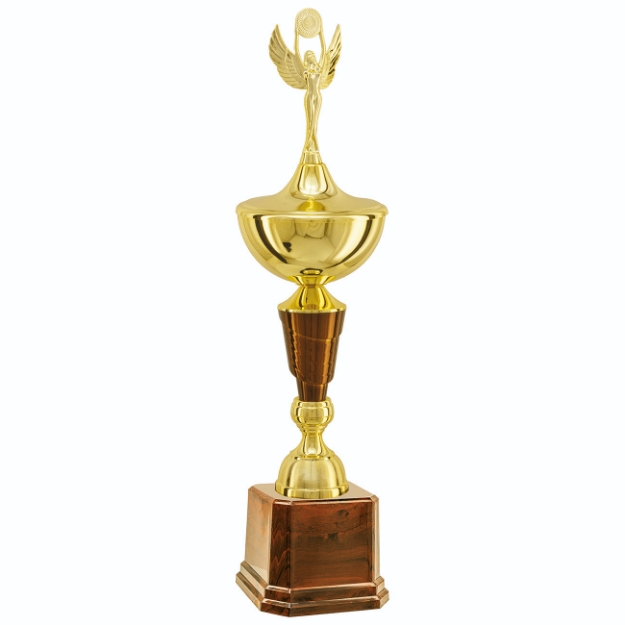 Imagem de TROFÉU MÉDIO COPA EM POLÍMERO METALIZADO - 67 CM - 402802-CAS