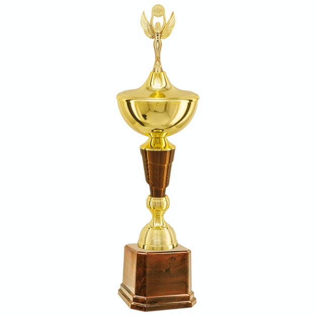 Imagem de TROFÉU MÉDIO COPA EM POLÍMERO METALIZADO - 61 CM - 402803-CAS