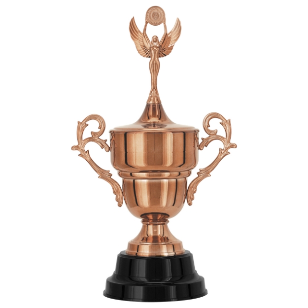 Imagem de TAÇA DE TAMANHO MÉDIO EM POLÍMERO METALIZADO - 700433-BZN